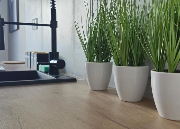 Elite 5 Jezyce- Baranczaka 5