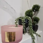 Elite 5 Jezyce- Baranczaka 5 Apartamento *
