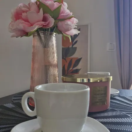 Elite 5 Jezyce- Baranczaka 5 * Poznan