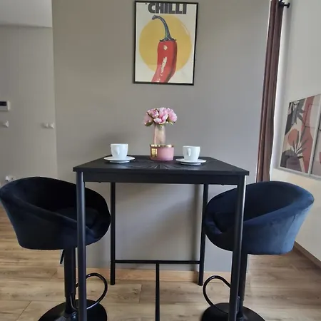 Apartamento Elite 5 Jezyce- Baranczaka 5 *